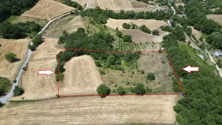 Kocaeli Karamürsel Avcıköy Satılık Tarla 8791 M2