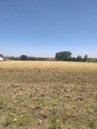 M-88 Taşlıkköy Mahallesi Satılık Çiftlik