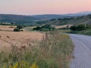 Bursa Karacabey Çamlıcada Anayola Yakın Satılık Yatırımlık 2000m2 Tarla