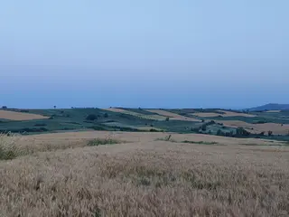 Bursa Karacabey Çamlıcada Anayola Yakın Satılık Yatırımlık 7300m2 Tarla