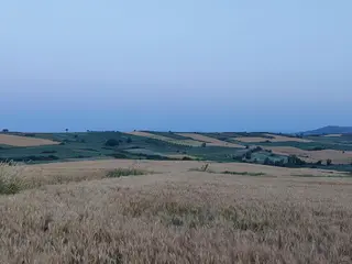 Bursa Karacabey Çamlıcada Anayola Yakın Satılık Yatırımlık 7300m2 Tarla