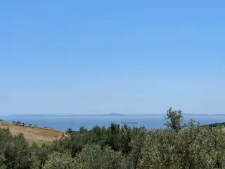 Tepeköy Mahallesinde Mükemmel Deniz Manzaralı Zeytinlik