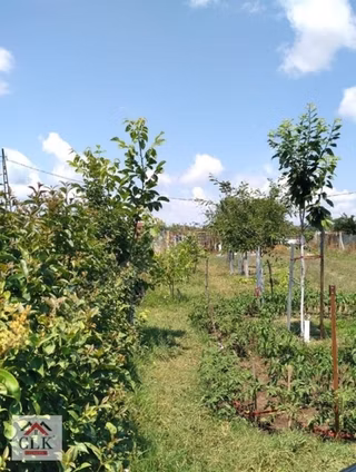 Müstakil Tapu,merkeze Yürüme Mesafesinde, Elektrik Su Var.
