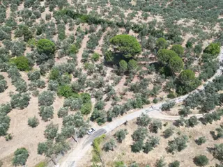 Sabri Pınarbaşı'dan Edremit Dereli'de Satılık Yola Cepheli Yatırımlık Zeytinlik