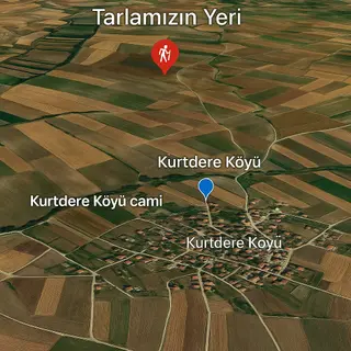 Drs Gayrimenkul'den Satılık Hisseli Tarla Drs Gayrimenkul'den Satılık Hisseli Tarla