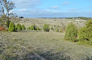 Gebze Duraklı'da Orman Yolu Olan Satılık 3.500 M² Arsa