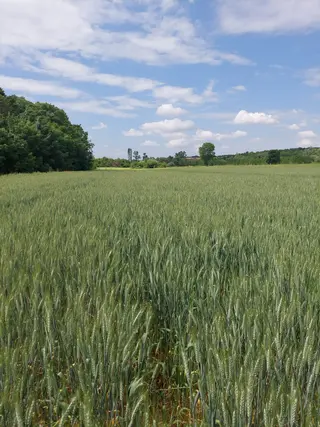 Kırklareli Pınarhisar Kaynarca Akarlar'da Tek Tapu 5308 M2