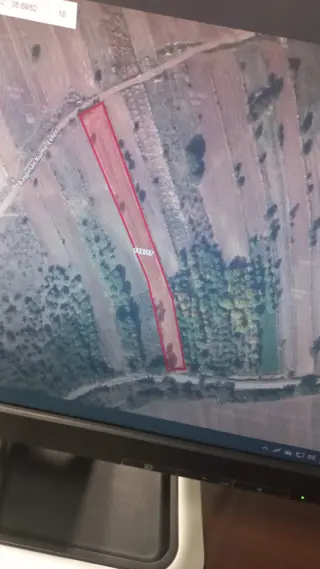 Sahibinden Göynücek Başpınar Köyünde(3.433)m2,yatırımlık, Müstakil, Tapulu, Satılık, Tarla