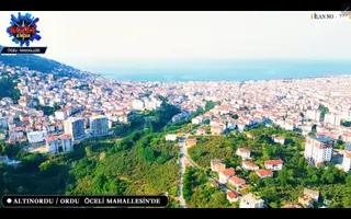 Altınordu/ordu Öceli Mahallesin'de Satılık Fındık Bahçesi