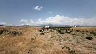 Öz Gaye Emlaktan Develi Reşadiye Mahallesi Güzelce Mevkiinde Satılık Bağ