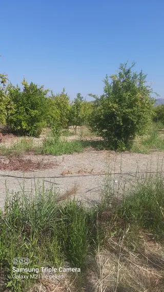 Gürköyde Satılık Rızai Taksimli Yer.lütfen Açıklamayı Okuyunuz