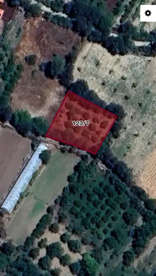 Kayalargroup'tan 808 M2 Kuzköy'de Satılık Bahçe Kayalargroup'tan 808 M2 Kuzköy'de Satılık Bahçe