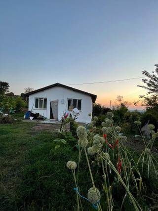Sakarya Hendekte İçinde Yapı Olan 1.334 M2 Satılık Yer