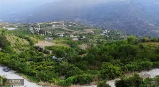 1,568 M2 Müstakil Tapu 2 Kat 2 Adet Konut İmarlı Şeftali Bahçesi