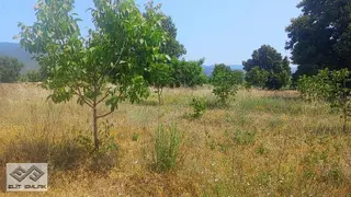 Akçakoyunda 8584 Metrekare Satılık Tek Tapu