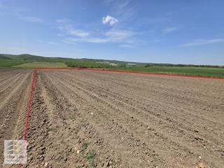 Edirne Uzunköprü Dereköy'de Müstakil Tek Tapu 3.750 M2 Tarla