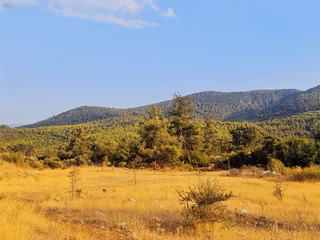 Gökben Mh.2074 M2 Tarla.