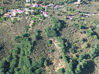Fiyat Düştü Perşembe/ Kozağzı(10.987 M2)satılık Yada Araç Takasılı Fındık Bahçesi