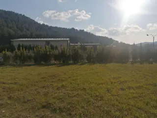 Bal Gayrimenkul-çatalcada Elektrik Su Hazır 580 M2 Köşe Parsel