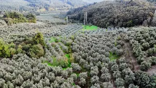 Mudanya Yaylacıkta 1800 M2 Yatırıma Uygun Arazi