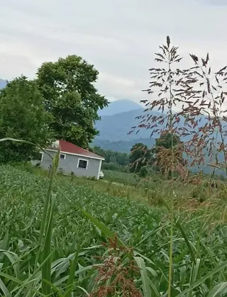 Alemdar Gayrimenkul Sakarya Erenler Kamışlı Mah.satlık Evli Arsa