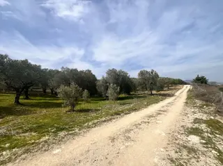 Manisa Kırkağaç