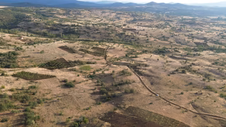Güneysınır Gürağaç Da 1.900 M2 Müstakil Tapulu Bağ