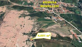 Tokat / Artova / Ağmusa Mahallesinde 4.851 M² Müstakil Tapulu Tarla