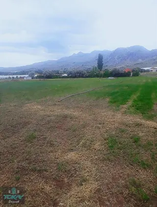 Korkuteli Kozağacında Satılık Tarla Sera Yeri
