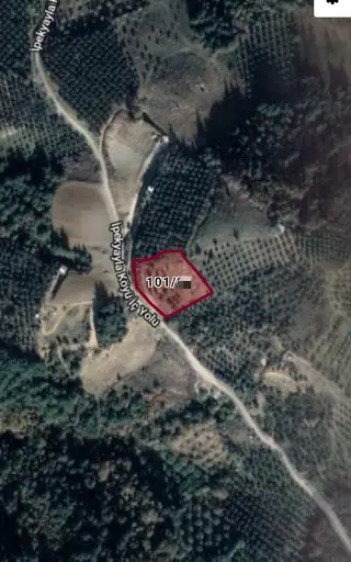 Ena Group Bursa Mudanya İpekyayla'da 2750 M2 Satılık Zeytinlik