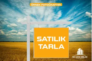 Öz Gaye Emlaktan Develi Çomaklı Mahallesinde Satılık Tarla