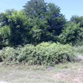 Beylikdüzü Yakuplu 356m2 Kat Karşılığı Arsa Opsiyonlu