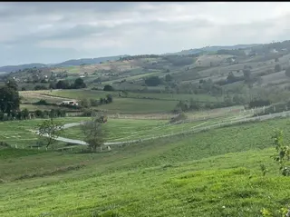 Sakarya Kaynarca Kertilde Satılık Hisseli Arsa