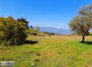 Balıkesir Sındırgı 2.799 M2 Köy Yanında İlçe Asfaltına 2 Parsel