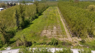 Fırsat!!düzce, Duraklar Köyü 12.647m² Yol Cepheli Satılık Tarla.