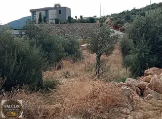 Falcon Dan Kalkan Da 1000m² Fırsat Arsa