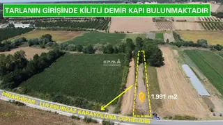 Pınarhisar Ataköy 1.991 M2 Müstakil Tapulu Anayola Cepheli Tarla