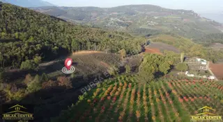 Kestel Aksuda 1745 M2 Tarla