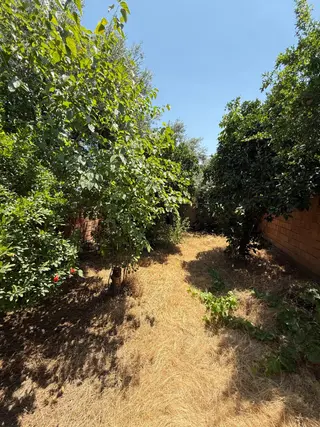 Aydın / Nazilli – Şirinevler Mahallesi’nde Satılık Müstakil Ev