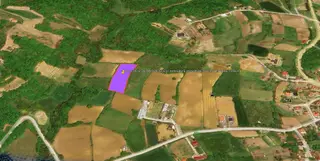 Yalova İli Altınova İlçesi Ahmediye Köyünde 5.185,41 M² Tarla