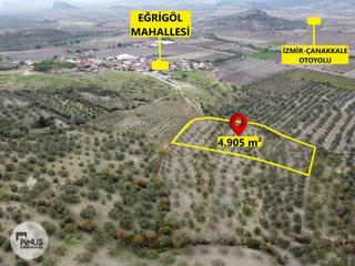 Pinus Gayrimenkulden Satılık Zeytinlik