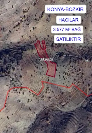Konya Bozkır Hacılar'da 3.577 M² Bağ Satılıktır.
