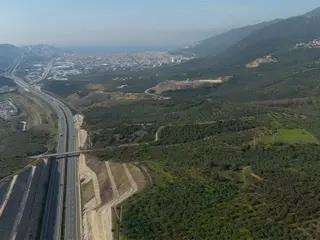 C21 Cius; Gemlik Cihatlı'da Konum Avantajlı Zeytinlik