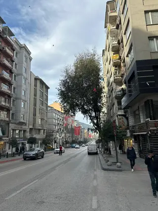 Bursa Osmangazi Altıparmak Caddesinnde Satılık 2+1 Daire