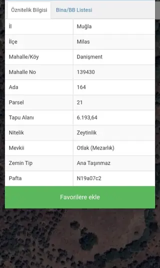 Muğla Milas Danışment'de Satılık Verimli Zeytinlik Tarla