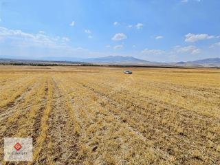 7456 M2 Tek Tapu Kemer Yakalar'da Yatırımlık Tarla
