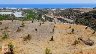 Görgün'den Kocahasanlı'da 5512m2 Deniz Manzaralı Tarla Ve Ev