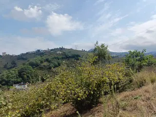 Uğurlu Da 2 Dönüm Yolu Açılmış Deniz Manzaralı Arazi
