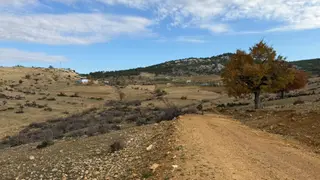 Türe Gayrimenkulden Gülnar Ulupınar Kokarkuyu Yaylasında Satılık Tarla