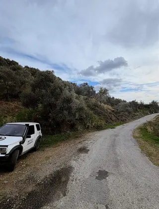 Bafa Akçalı'da 3.300m Asfalt Yola Sıfır Fırsat Zeytinlik